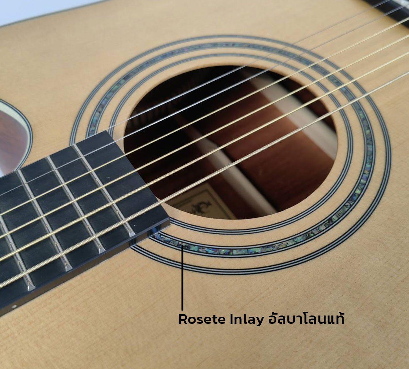 T20-5 กีตาร์โปร่ง Takavood กีต้าร์ไม้แท้ Top solid กีต้าร์ทรง dreadnought ขนาด 41 นิ้ว setup ง่าย กีต้าร์สายต่ำ เล่นแล้วไม่เจ็บนิ้ว