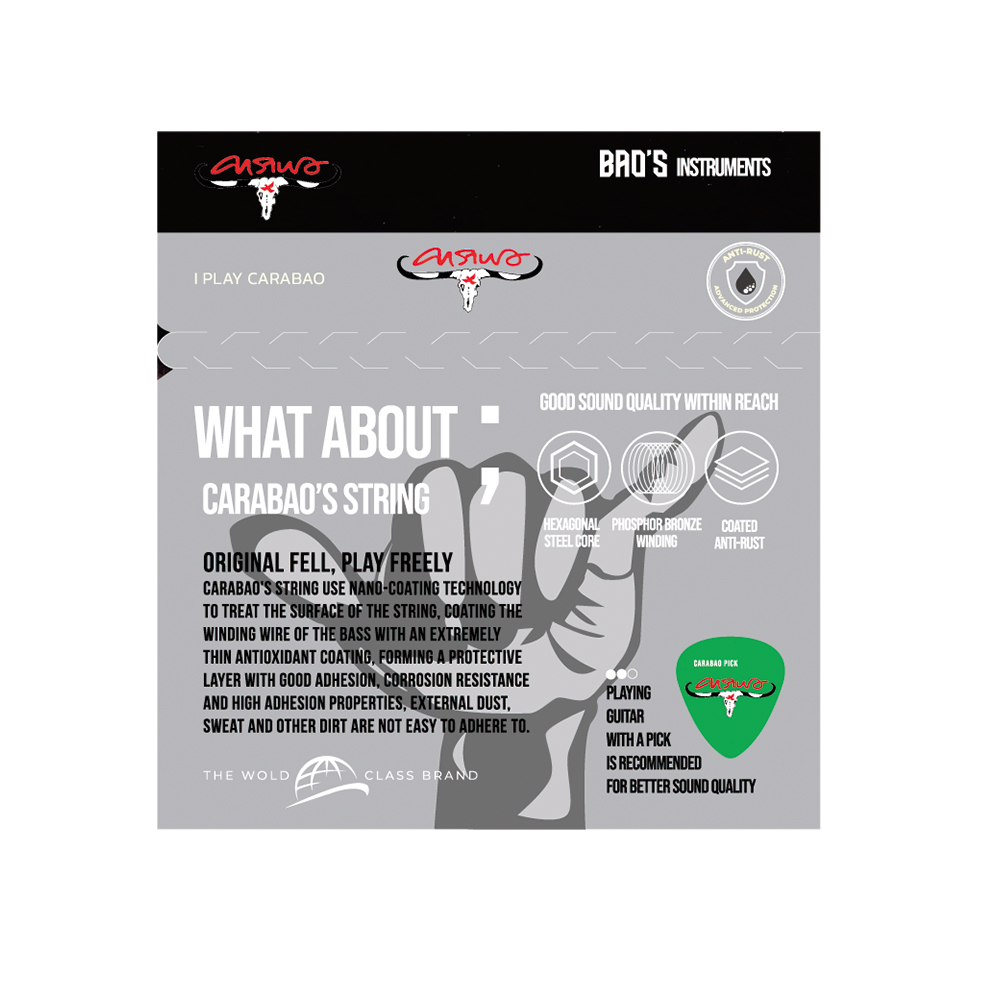 สายกีตาร์ไฟฟ้าคาราบาวเคลือบกันสนิม