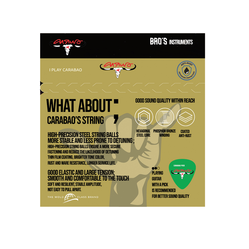 สายกีตาร์โปร่งคาราบาวเคลือบกันสนิม